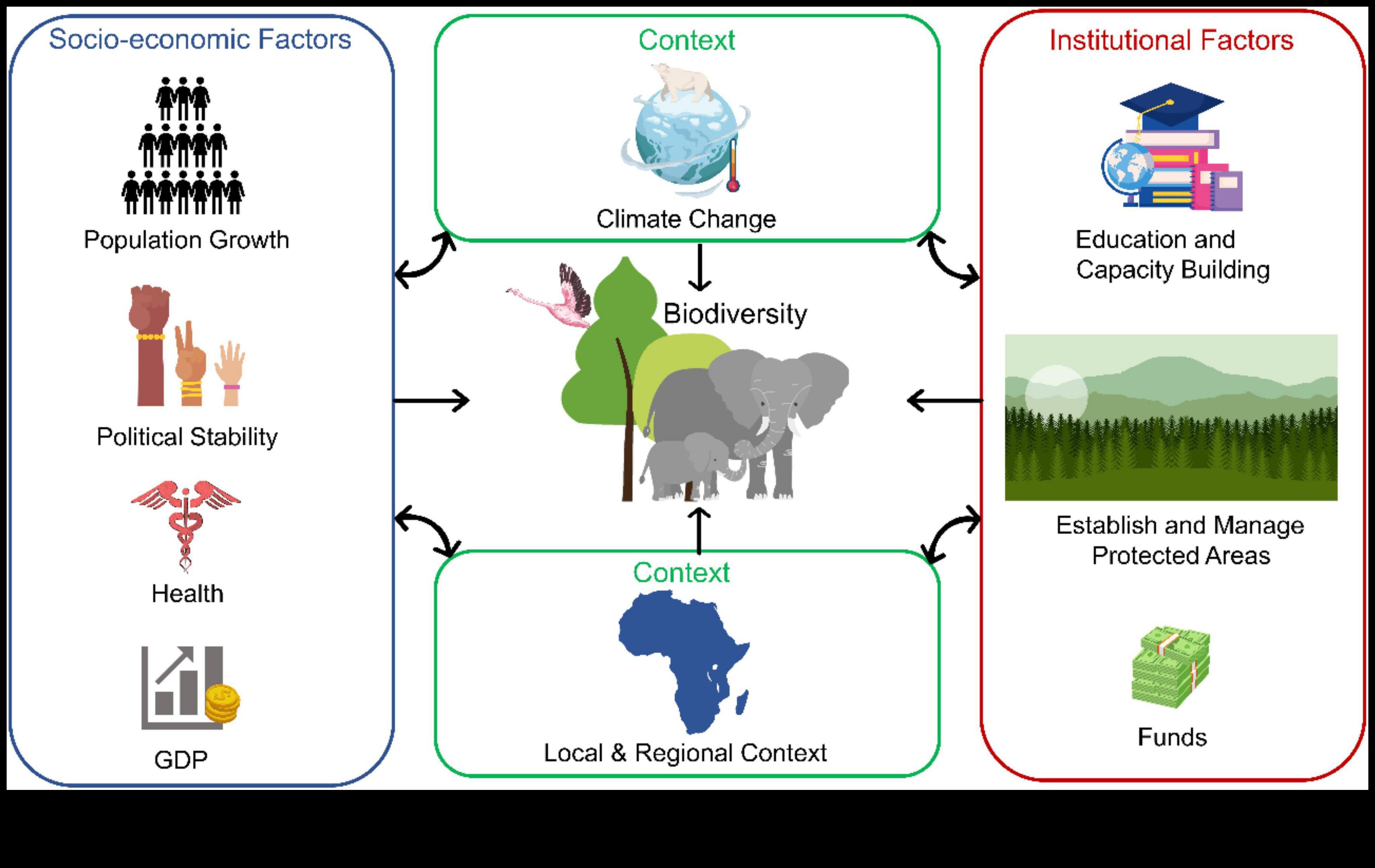 المناطق المناخية موطن لثروة من التنوع البيولوجي 4 كيف تؤثر المناطق المناخية على التنوع البيولوجي للمناظر الطبيعية؟
