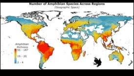 كيف تؤثر المناطق المناخية على التنوع البيولوجي للمناظر الطبيعية؟