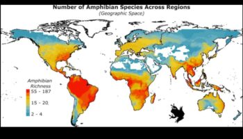 كيف تؤثر المناطق المناخية على التنوع البيولوجي للمناظر الطبيعية؟