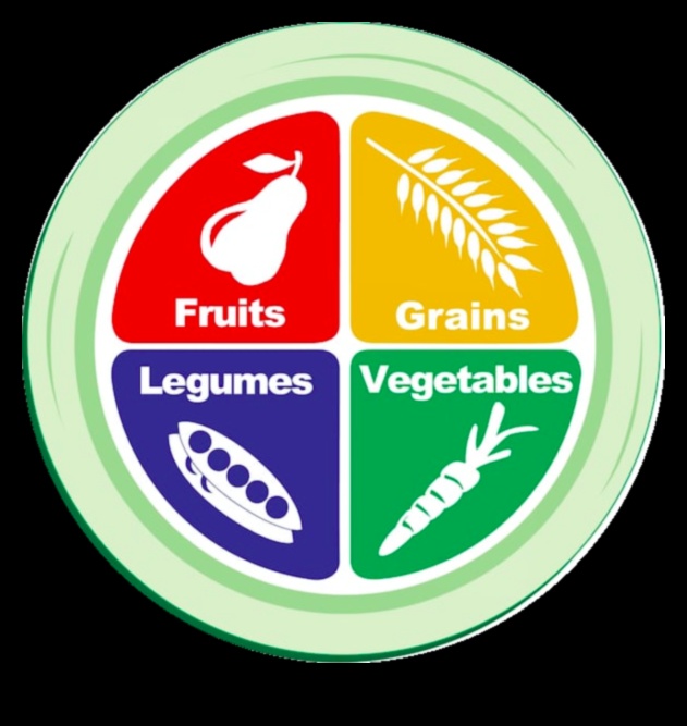 لوحة الطاقة: مخطط النجاح في استشارات التغذية