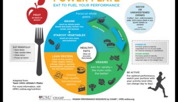 لوحة الطاقة: مخطط النجاح في استشارات التغذية