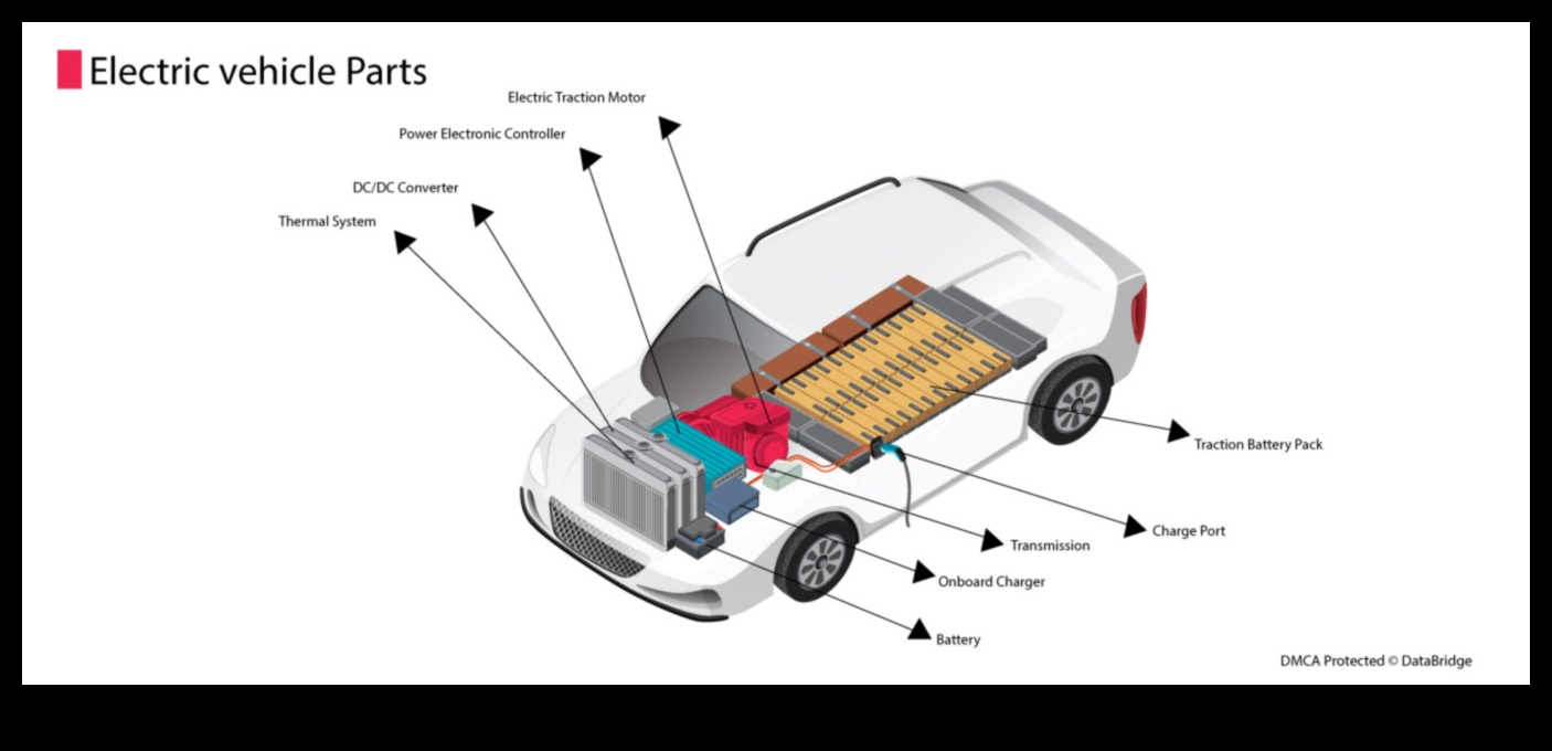 شبكات الشحن شرايين ثورة المركبات الكهربائية 4 شبكة الشحن: العمود الفقري للبنية التحتية للسيارات الكهربائية