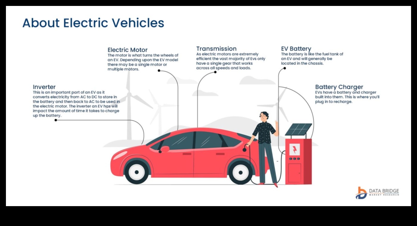شبكات الشحن شرايين ثورة المركبات الكهربائية 2 شبكة الشحن: العمود الفقري للبنية التحتية للسيارات الكهربائية