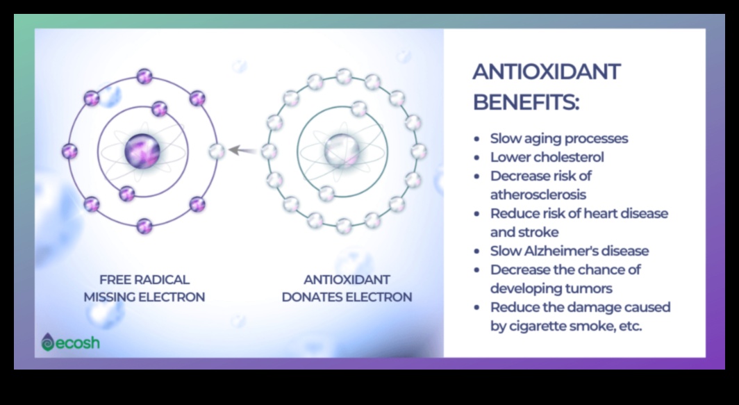 ميزة مضادات الأكسدة: ارفع من صحتك بشكل طبيعي