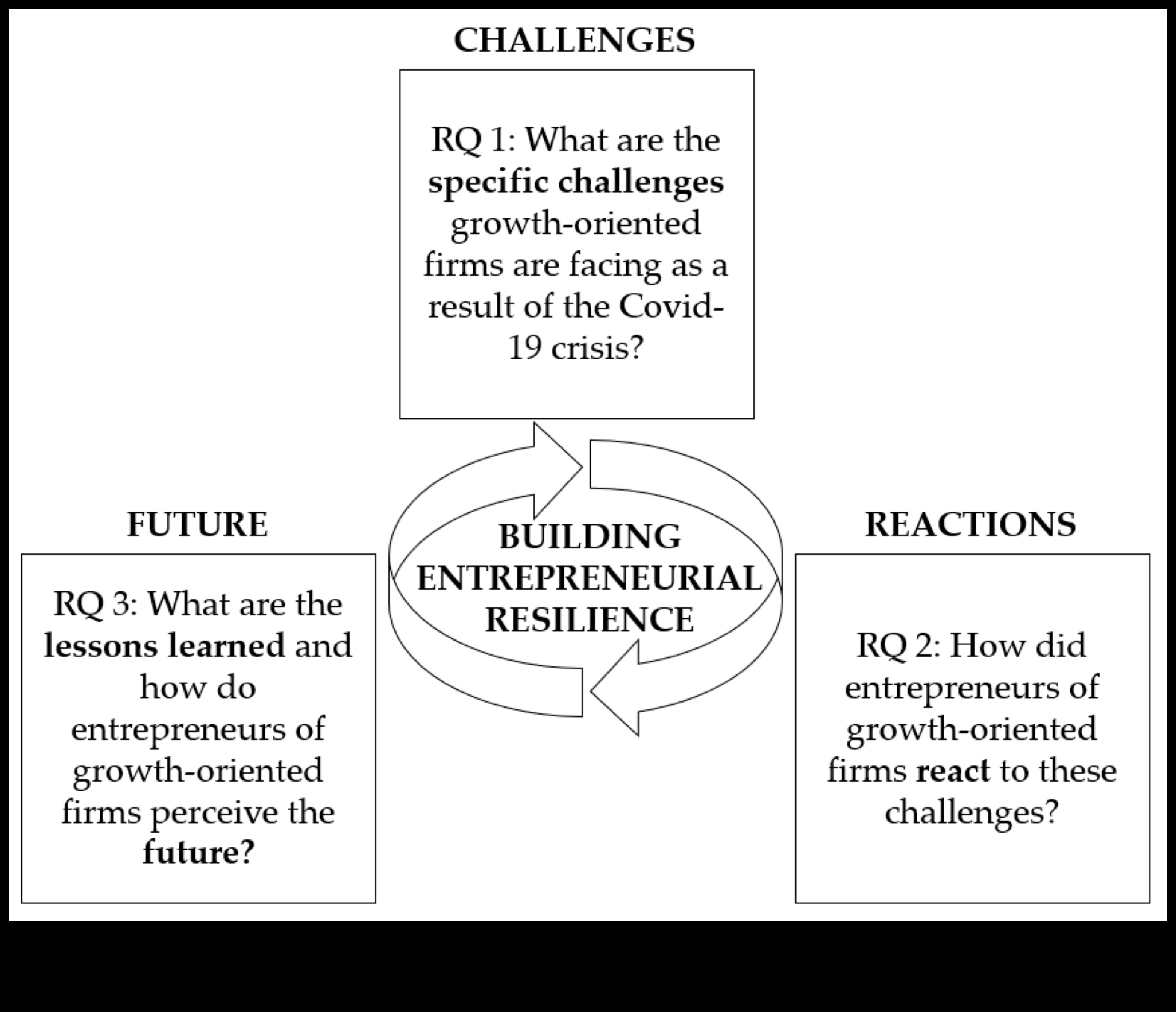 إدارة الأزمات لرواد الأعمال: الازدهار وسط التحديات