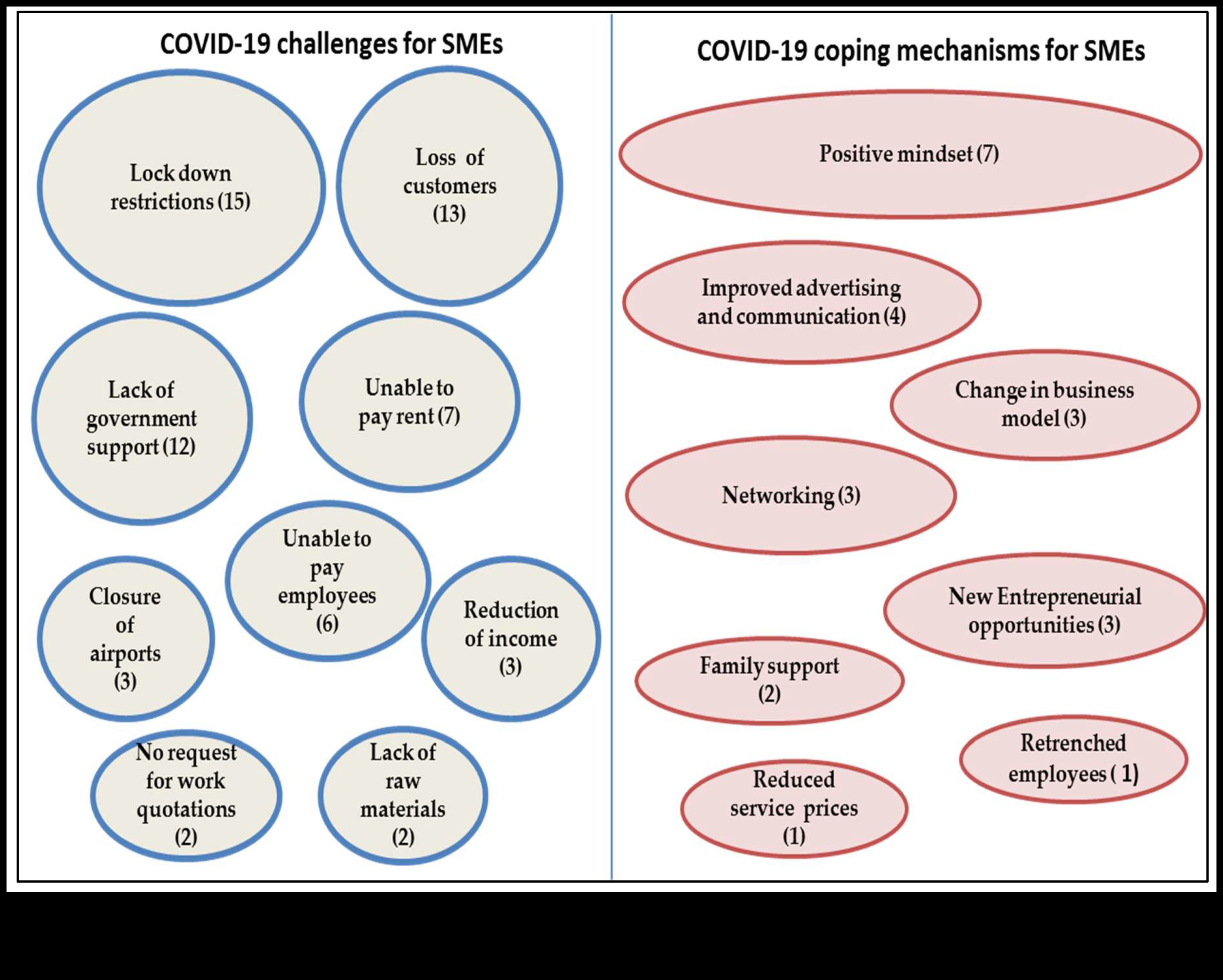إدارة الأزمات لرواد الأعمال: الازدهار وسط التحديات