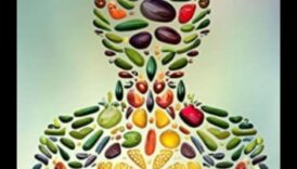 مخطط المغذيات: صياغة خطتك الصحية الشخصية