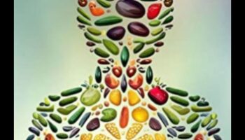 مخطط المغذيات: صياغة خطتك الصحية الشخصية