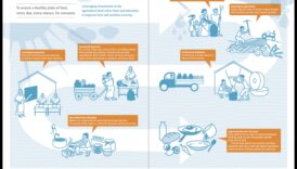 من السياسة إلى اللوحة: مبادرات التغذية الصحية العامة