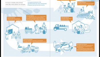 من السياسة إلى اللوحة: مبادرات التغذية الصحية العامة