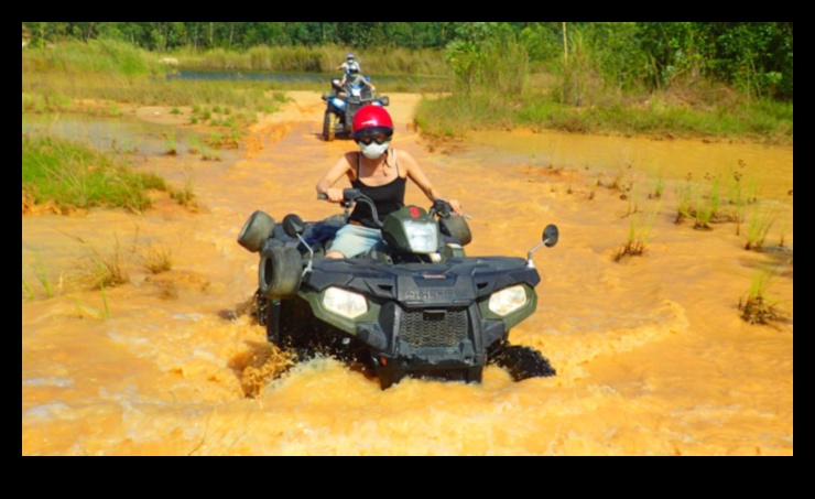 مغامرات على الطرق الوعرة: قهر المسارات بالدراجات الصالحة لجميع التضاريس