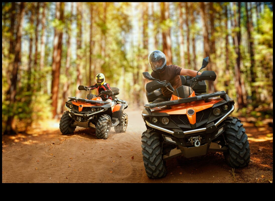 مغامرات على الطرق الوعرة: قهر المسارات بالدراجات الصالحة لجميع التضاريس