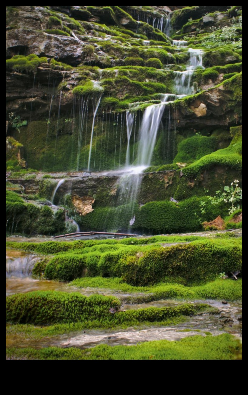 الأوديسة الأدبية: تأثير الطبيعة عبر الأعمال المكتوبة المتنوعة