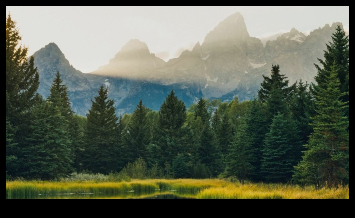 الأوديسة الأدبية: تأثير الطبيعة عبر الأعمال المكتوبة المتنوعة