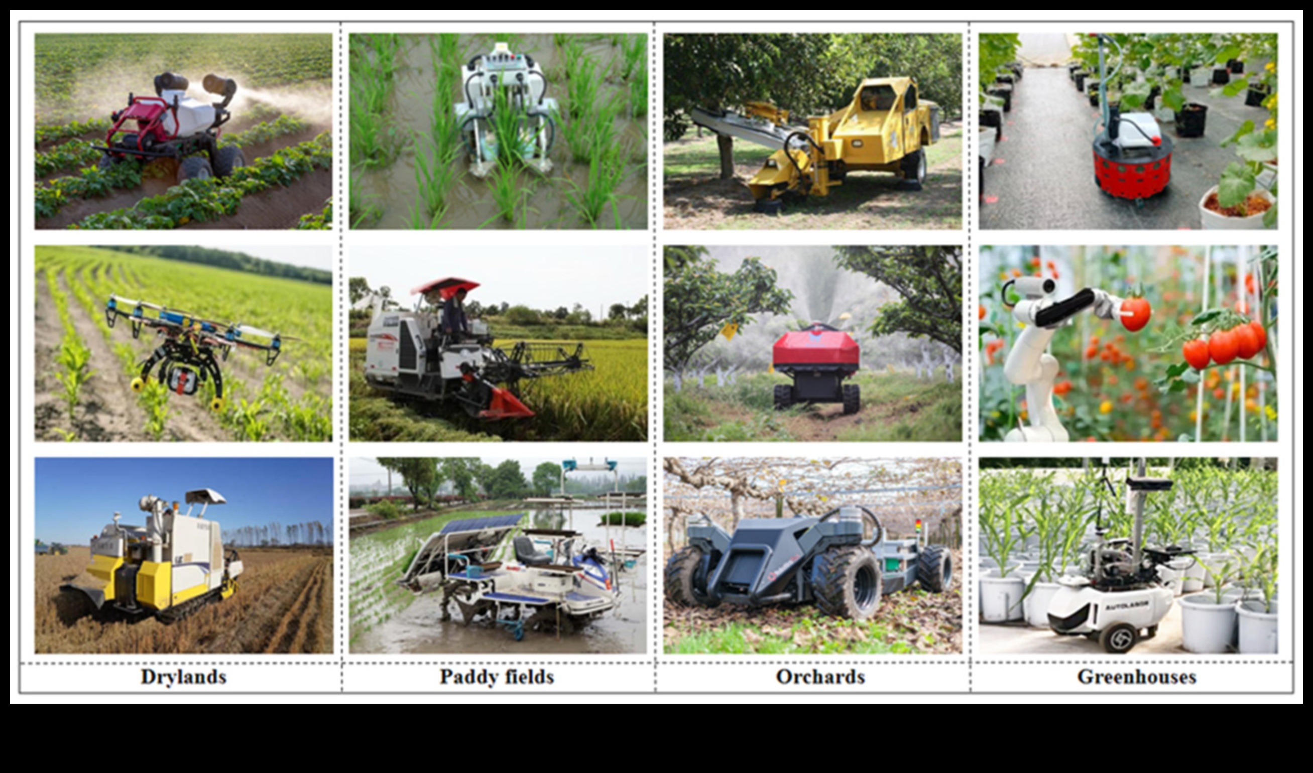كيف تُحدث المركبات ذاتية القيادة ثورة في الزراعة الريفية؟ التجوال الريفي: المركبات ذاتية القيادة كأدوات أساسية في الزراعة والزراعة