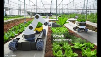 التجوال الريفي: المركبات ذاتية القيادة كأدوات أساسية في الزراعة والزراعة