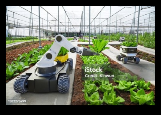 التجوال الريفي: المركبات ذاتية القيادة كأدوات أساسية في الزراعة والزراعة