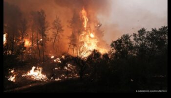 لماذا تكون بعض المناظر الطبيعية أكثر عرضة لحرائق الغابات؟