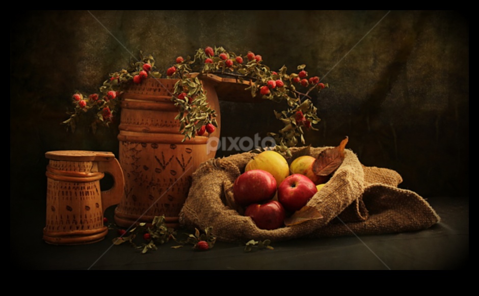 الكائنات في وئام: فن الحياة الساكنة 3 الكائنات في وئام: فن الحياة الساكنة