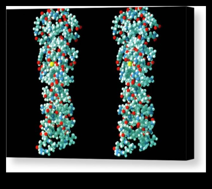 القماش الجزيئي: رسم صورة للكيمياء الحيوية الغذائية