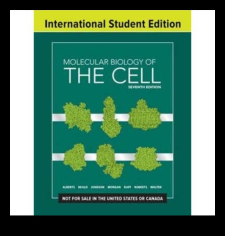 القماش الجزيئي: رسم صورة للكيمياء الحيوية الغذائية