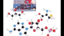 القماش الجزيئي: رسم صورة للكيمياء الحيوية الغذائية