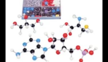 القماش الجزيئي: رسم صورة للكيمياء الحيوية الغذائية