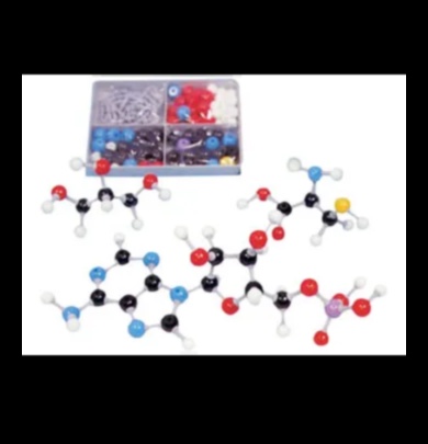 القماش الجزيئي: رسم صورة للكيمياء الحيوية الغذائية