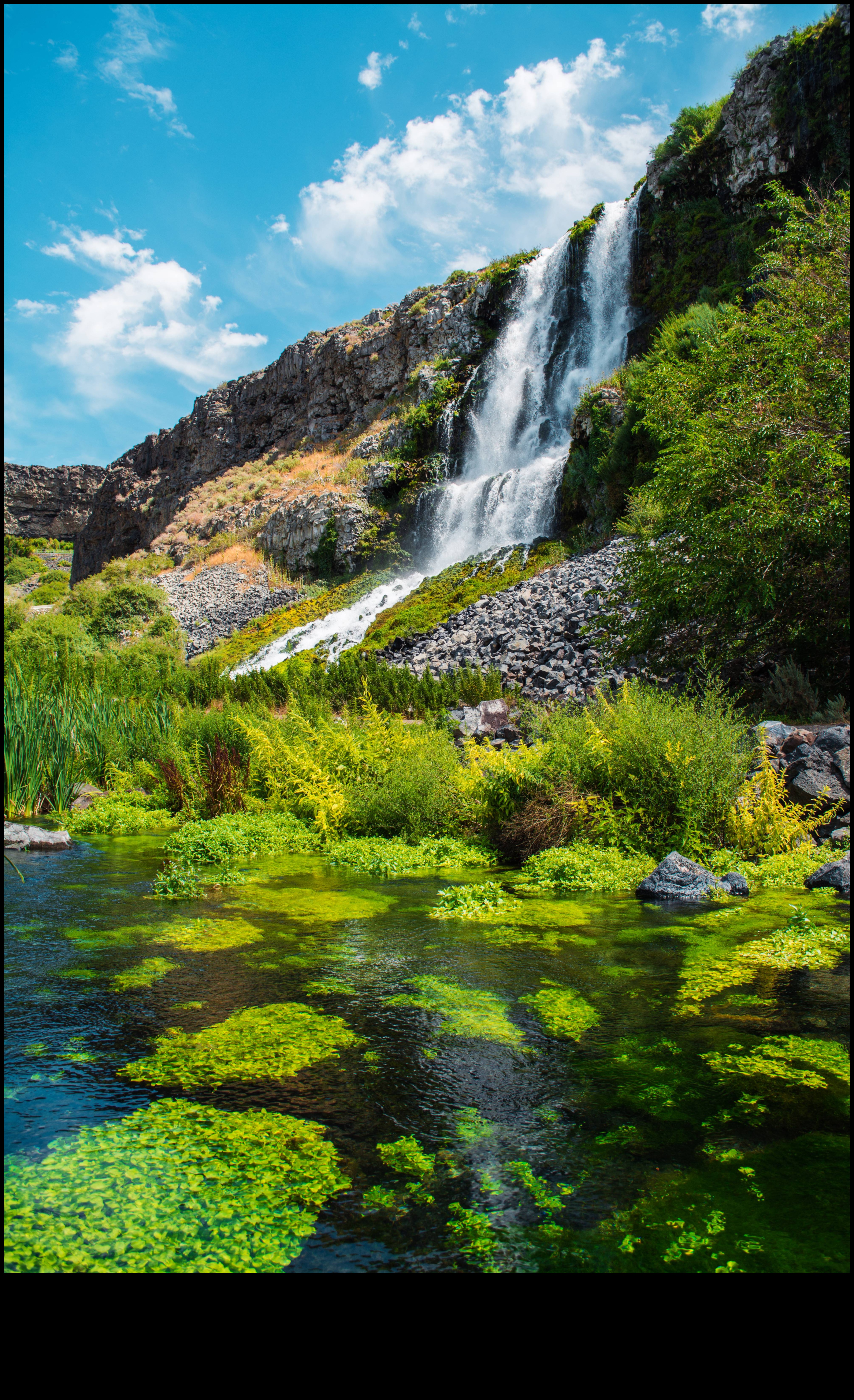 المحميات البيئية: الحفاظ على العجائب الطبيعية