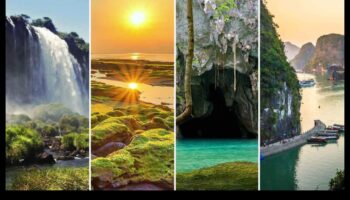 المحميات البيئية: الحفاظ على العجائب الطبيعية