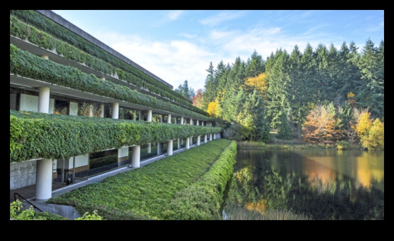 كيف تؤثر المناظر الطبيعية على الممارسات الثقافية والاجتماعية للمجتمعات؟