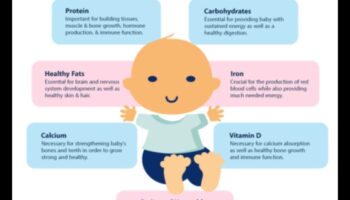 ما وراء أغذية الأطفال: الانتقال من خلال مراحل تغذية الأطفال