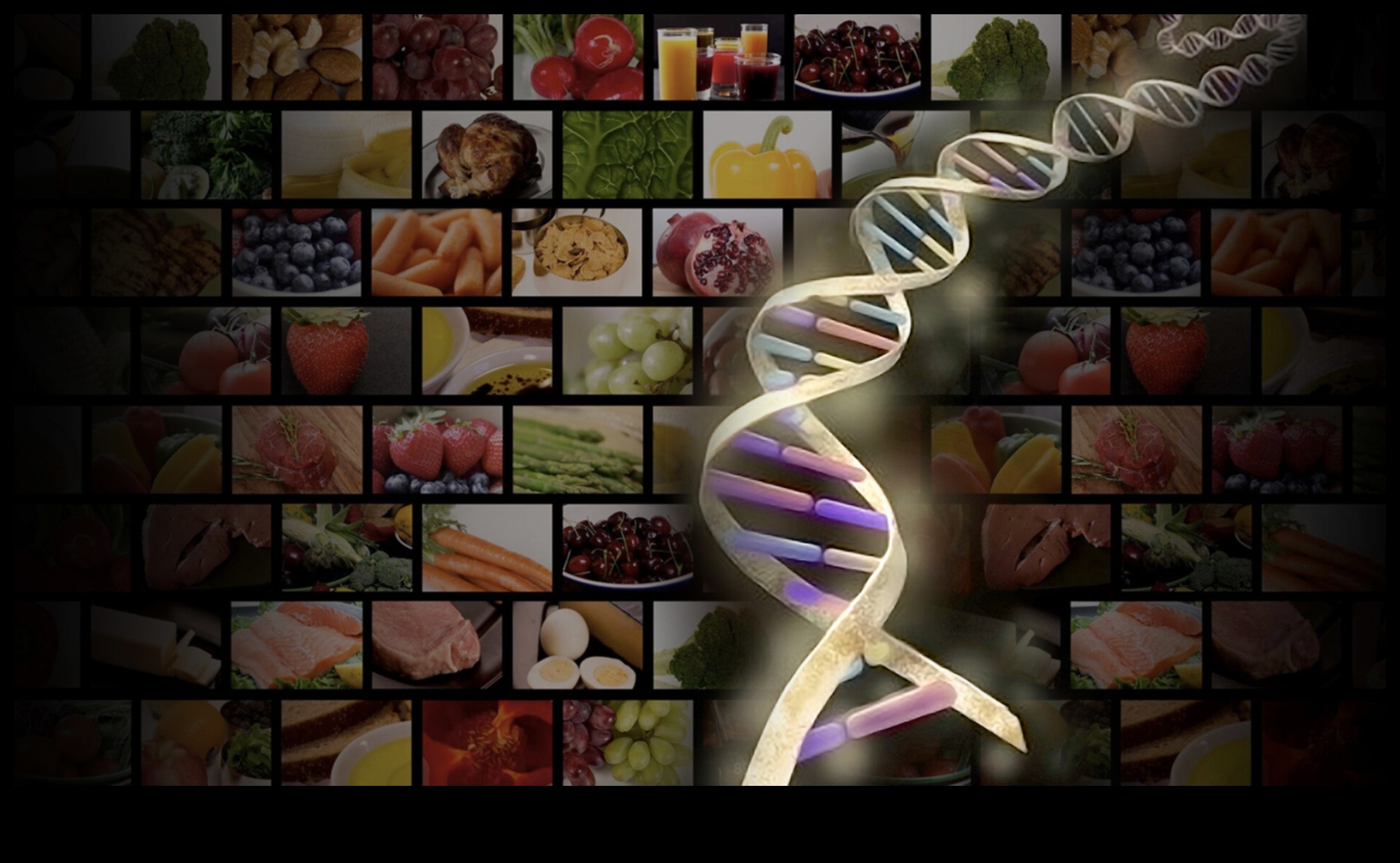 طبق شخصي: صياغة قصتك الصحية مع استشارات التغذية