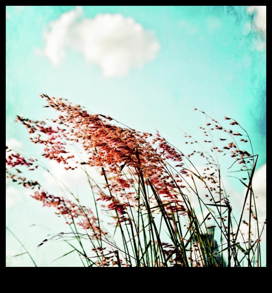 همسات الطبيعة: المناظر الطبيعية الآسرة التي تتحدث إلى القلب