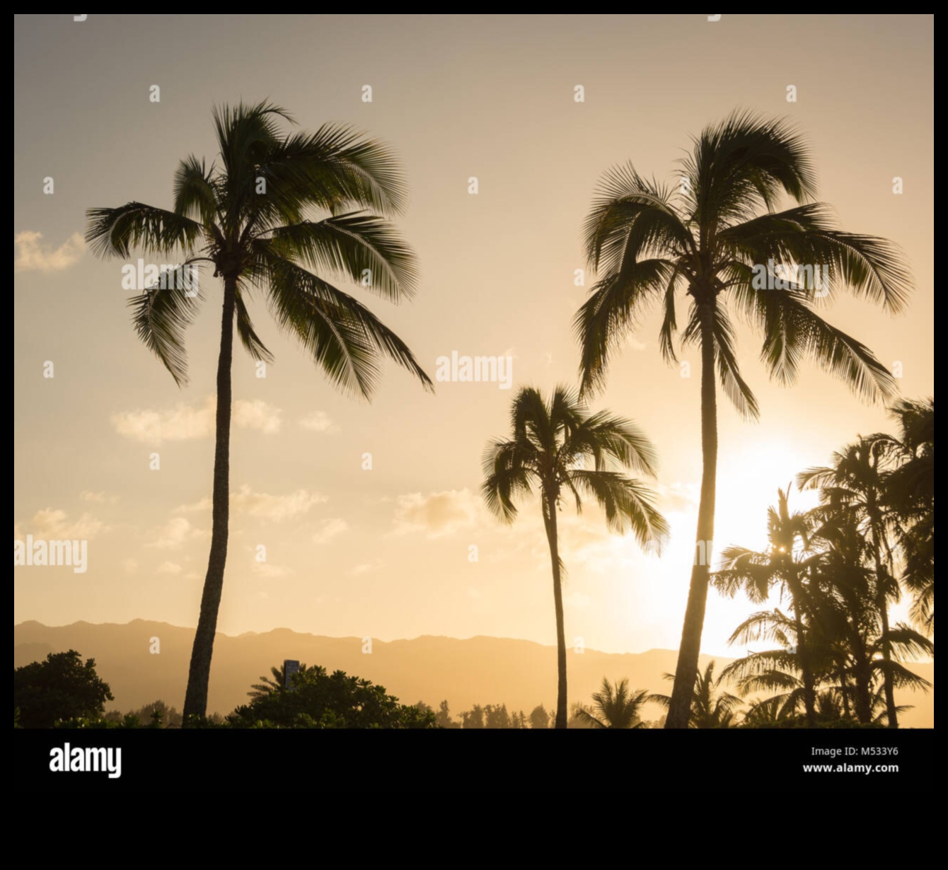 همسات الطبيعة: المناظر الطبيعية الآسرة التي تتحدث إلى القلب