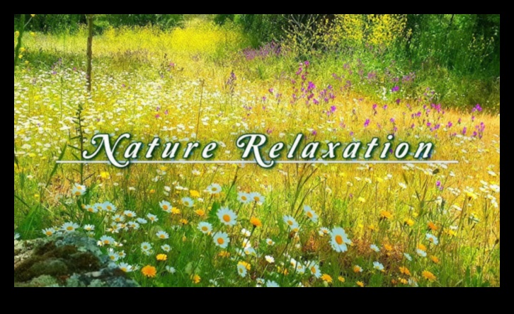 همسات الطبيعة: المناظر الطبيعية الآسرة التي تتحدث إلى القلب