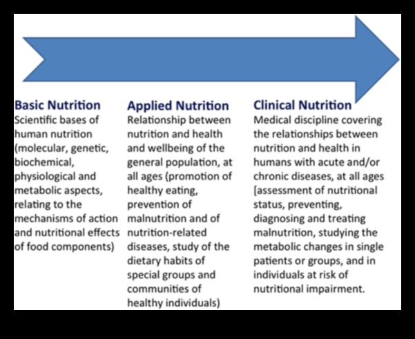 أسس الكيمياء الحيوية: استكشاف جذور الصحة الغذائية