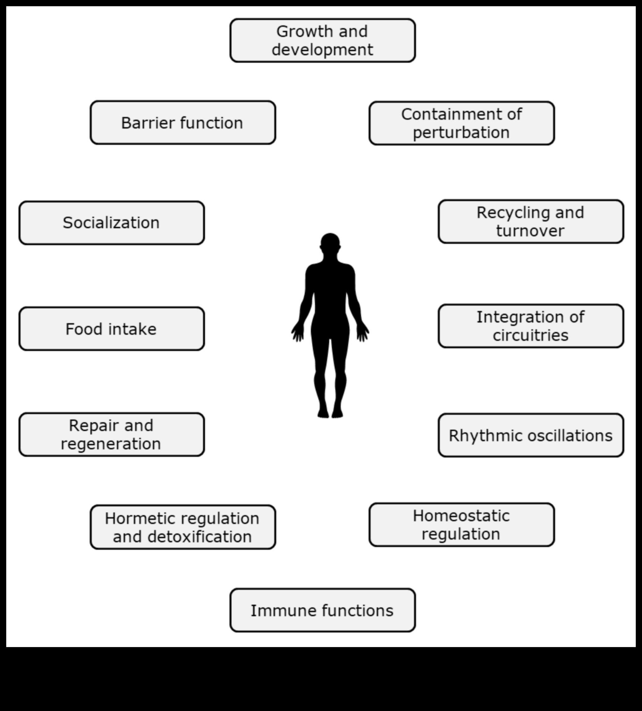 أسس الكيمياء الحيوية: استكشاف جذور الصحة الغذائية