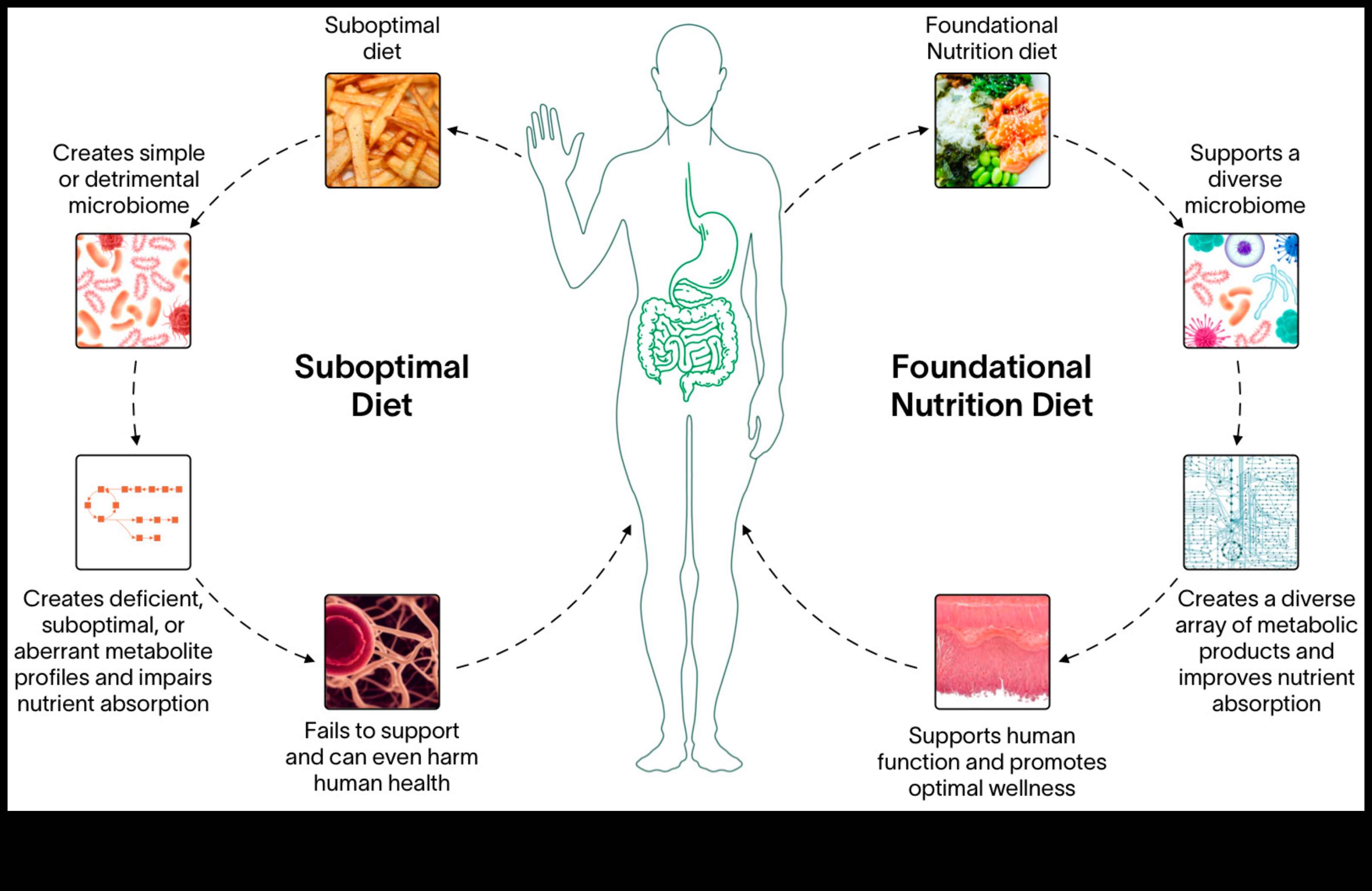 أسس الكيمياء الحيوية: استكشاف جذور الصحة الغذائية