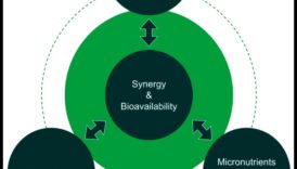 أسس الكيمياء الحيوية: استكشاف جذور الصحة الغذائية