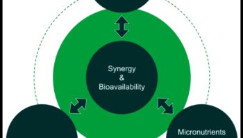 أسس الكيمياء الحيوية: استكشاف جذور الصحة الغذائية