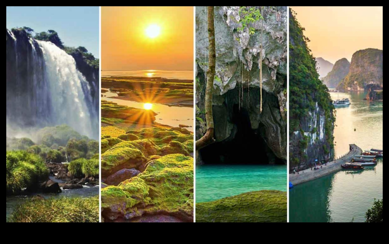 المحميات البيئية: الحفاظ على العجائب الطبيعية